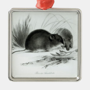 Adorno Metálico Ratón, Tierra del Fuego, Suramérica c.1832-36