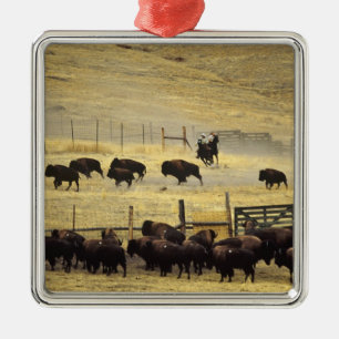 Adorno Metálico Recopilación del National Bison Range en Montana