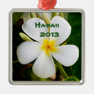 Adorno Metálico Recuerdo de Flor de Plumeria Hawaiana