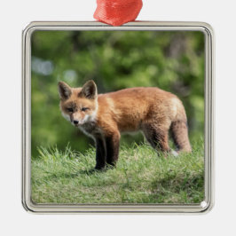 Adorno Metálico Red Fox Kit