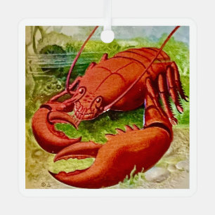 Adorno Metálico ¡Red, Lobster Rojo!