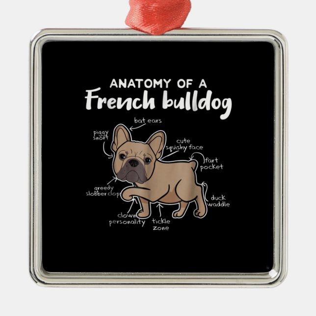 Adorno Metálico Regalo francés| Anatomía De Un Regalo De Bulldog F (Frente)