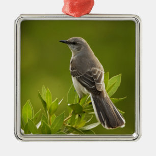 Adorno Metálico Regalos de los amantes de las aves de Mockingbird