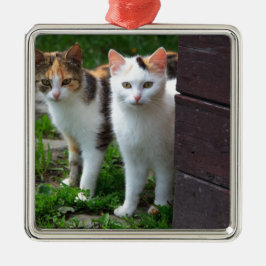 Adorno Metálico Reproducción de gatos