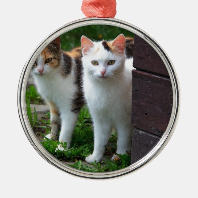 Adorno Metálico Reproducción de gatos (Frente)