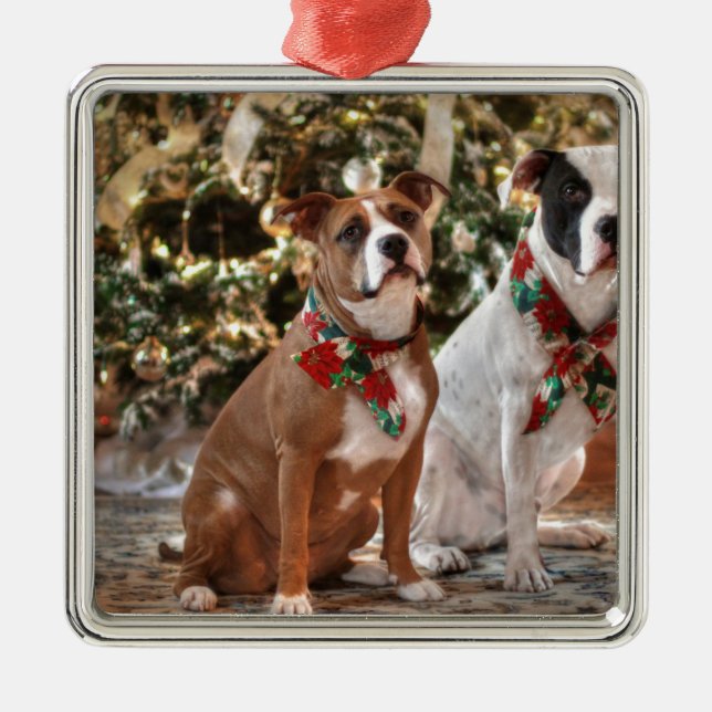 Adorno Metálico Rescate lindo Pitbull del navidad y bulldog de (Frente)