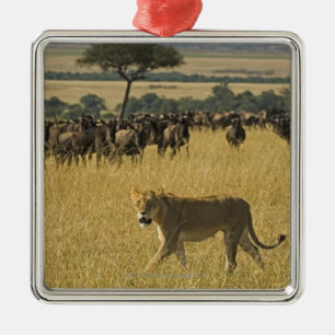 Adorno Metálico Reserva nacional de Mara del Masai, Kenia, África