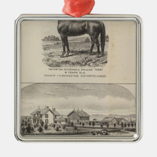 Adorno Metálico Residencias de Oxford y de Abilene, Kansas