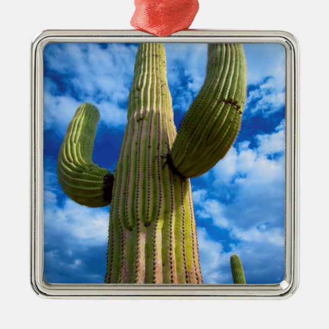 Adorno Metálico Retrato de cactus de Saguaro, Arizona (Frente)