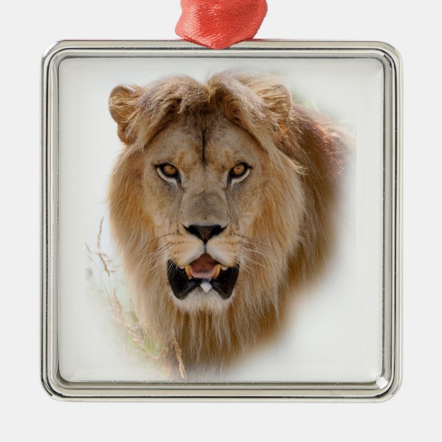 Adorno Metálico Retrato de león (Frente)