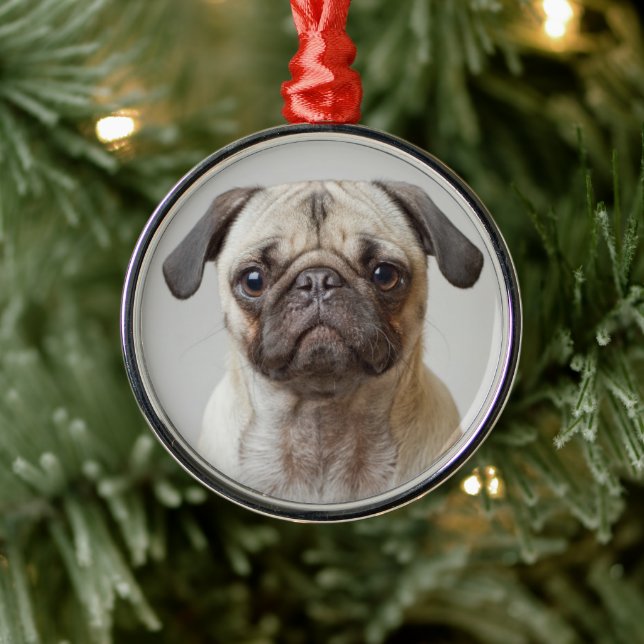 Adorno Metálico Retrato de Pug (Árbol)