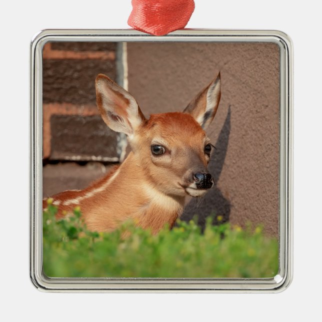 Adorno Metálico Retrato de un alba (ciervo de cola blanca) (Frente)