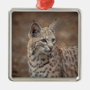 Adorno Metálico Retrato de un lince rojo