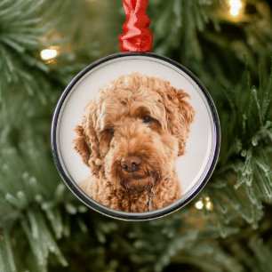 Adorno Metálico Retrato Goldendoodle Studio