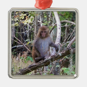 Adorno Metálico rhesus macaque