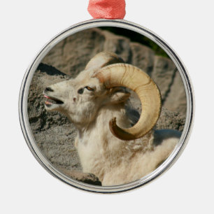 Adorno Metálico Ríe divertida oveja bighorn o Ram