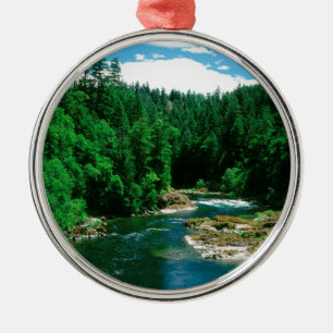 Adorno Metálico Río Umpqua el condado de Douglas Oregon