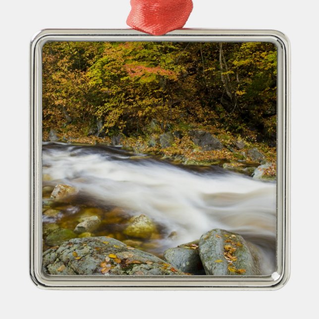 Adorno Metálico Roaring Brook en otoño en Vermont's Green (Frente)