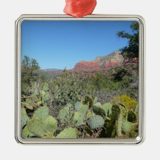 Adorno Metálico Rocas rojas y cactus I