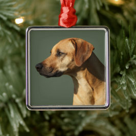 Adorno Metálico Rodeosiano Ridgeback