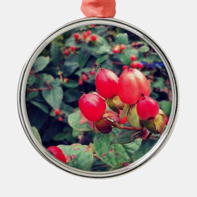 Adorno Metálico Rojo (Frente)