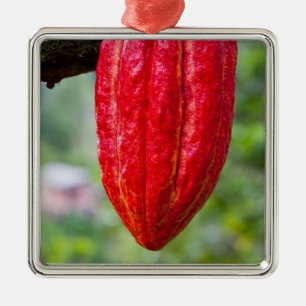 Adorno Metálico rojo de la vaina de cacao