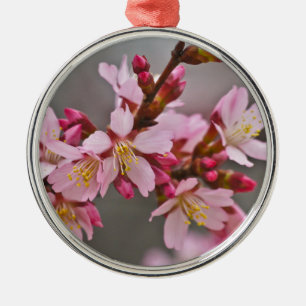 Adorno Metálico Rosa Contra Un Cielo Gris Flor De Cerezo Japonesa