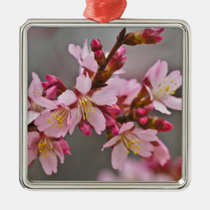 Adorno Metálico Rosa Contra Un Cielo Gris Flor De Cerezo Japonesa