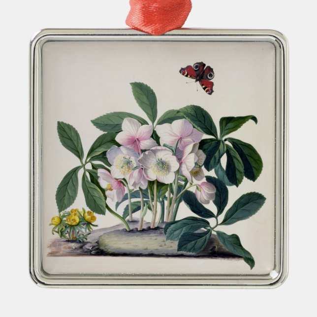 Adorno Metálico Rosa de navidad (Helleborus Niger) e invierno (Frente)