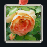 Adorno Metálico Rosa naranja Rubor<br><div class="desc">Romántico antiguo país de la moda clásica naranja de color claro y Rosas color melocotón</div>