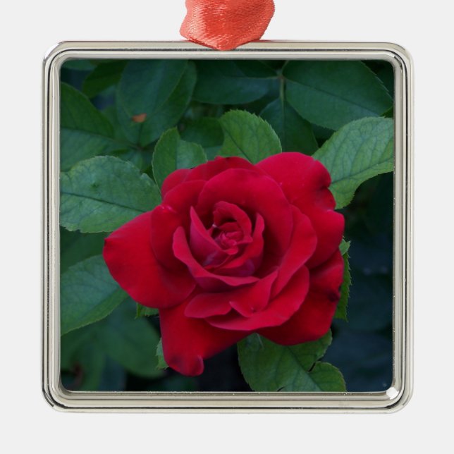 Adorno Metálico Rosa Roja de Cerca (Frente)