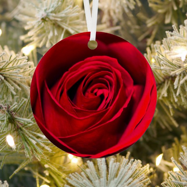 Adorno Metálico Rosa Roja romántica en plena floración (in situ)