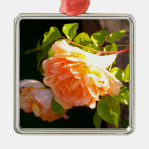 Adorno Metálico Rosas de Country Peach