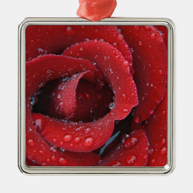 Adorno Metálico Rosas rojas cubiertas adornan el sitio de la tumba (Frente)