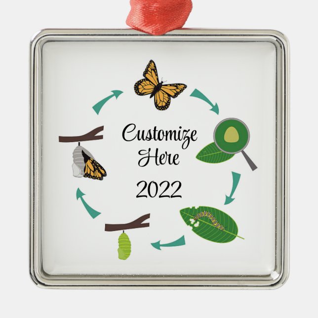 Adorno Metálico Rótulo metalizado del ciclo de vida de la mariposa (Frente)