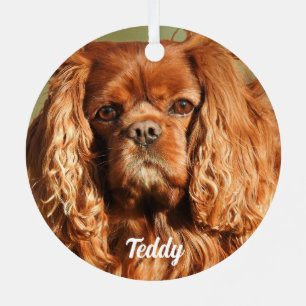 Adorno Metálico Ruby Cavalier King Charles Spaniel Dog