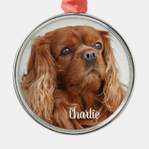 Ruby Cavalier King Charles Spaniel Dog Metalizado 