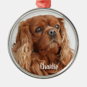 Adorno Metálico Ruby Cavalier King Charles Spaniel Dog Metalizado