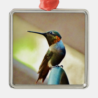 Adorno Metálico Ruby encaramado y colibrí verde