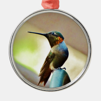 Adorno Metálico Ruby encaramado y colibrí verde