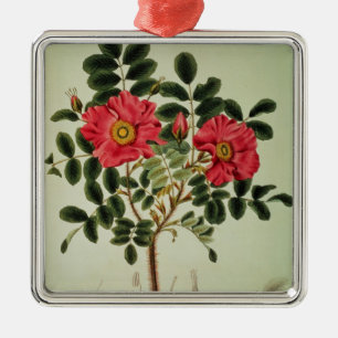 Adorno Metálico Rugosa de Rosa, de la 'flora Japonica