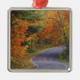 Adorno Metálico Ruta de los árboles de otoño en el Parque Estata