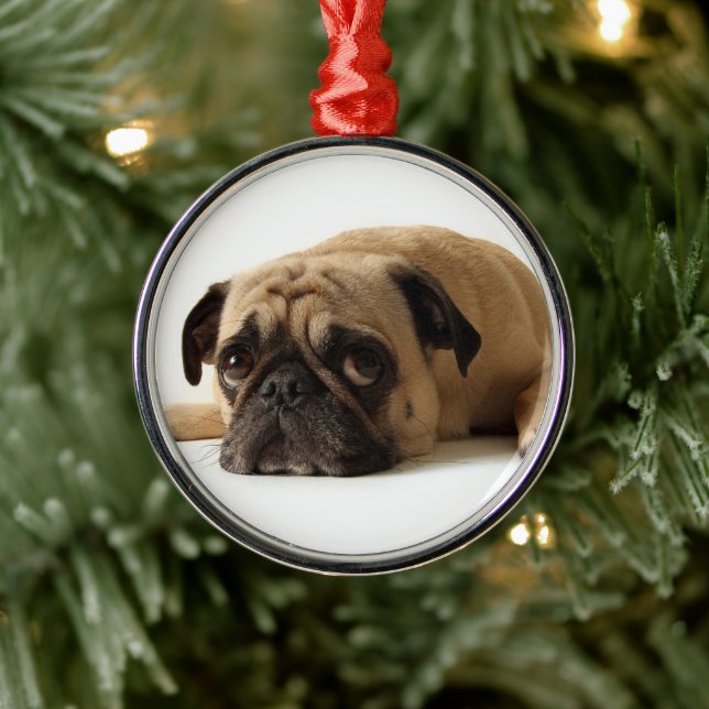 Adorno Metálico Sad Pug (Árbol)