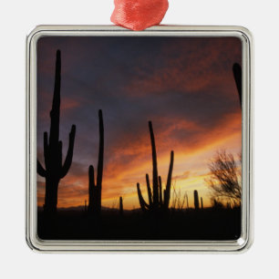 Adorno Metálico saguaro cacti, Carnegiea gigantea, después