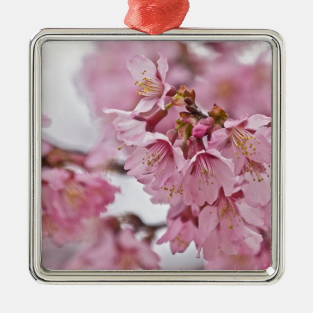 Adorno Metálico Sakura cerezo florece rosa pálido (Frente)