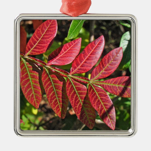 Adorno Metálico Saltos Sumac En Otoño (Frente)