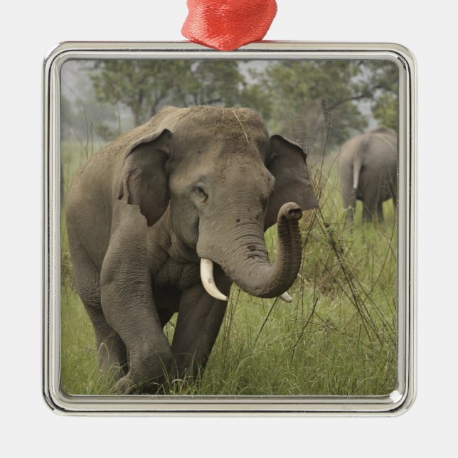 Adorno Metálico Saludo de elefante indio asiático (Frente)