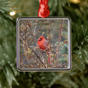 Adorno Metálico Saludos de Temporada Cardenal Macho Rojo