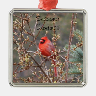 Adorno Metálico Saludos del Cardenal Rojo