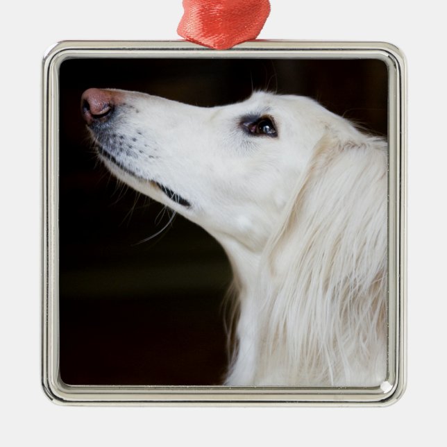 Adorno Metálico Saluki que mira para arriba (Frente)